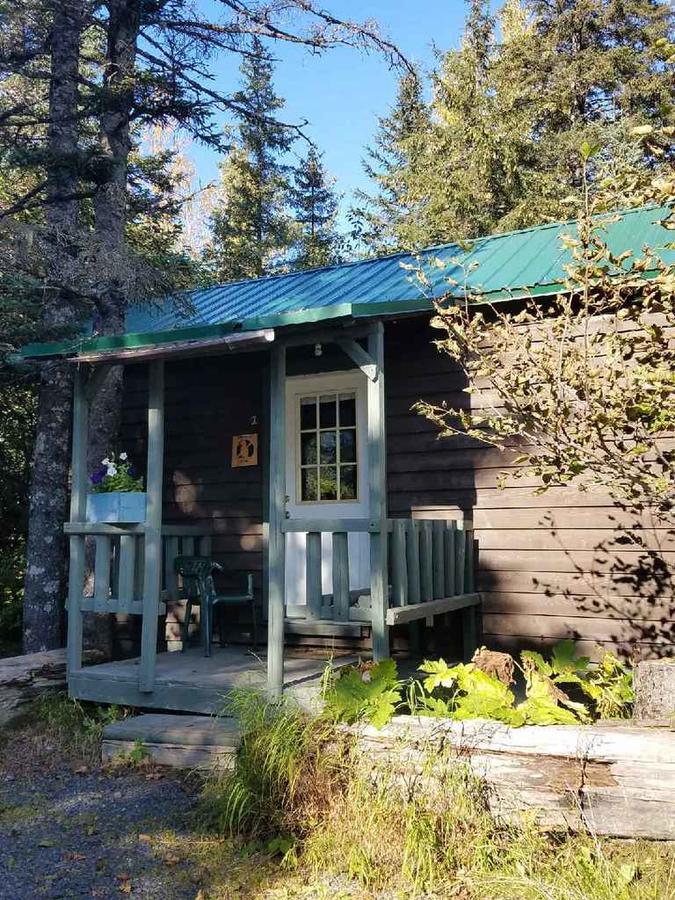 סוארד Exit Glacier Lodge מראה חיצוני תמונה